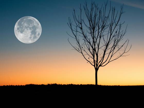 Moon Rising In Evening wallpaper for iPad Pro 13-inch (2752x2064)